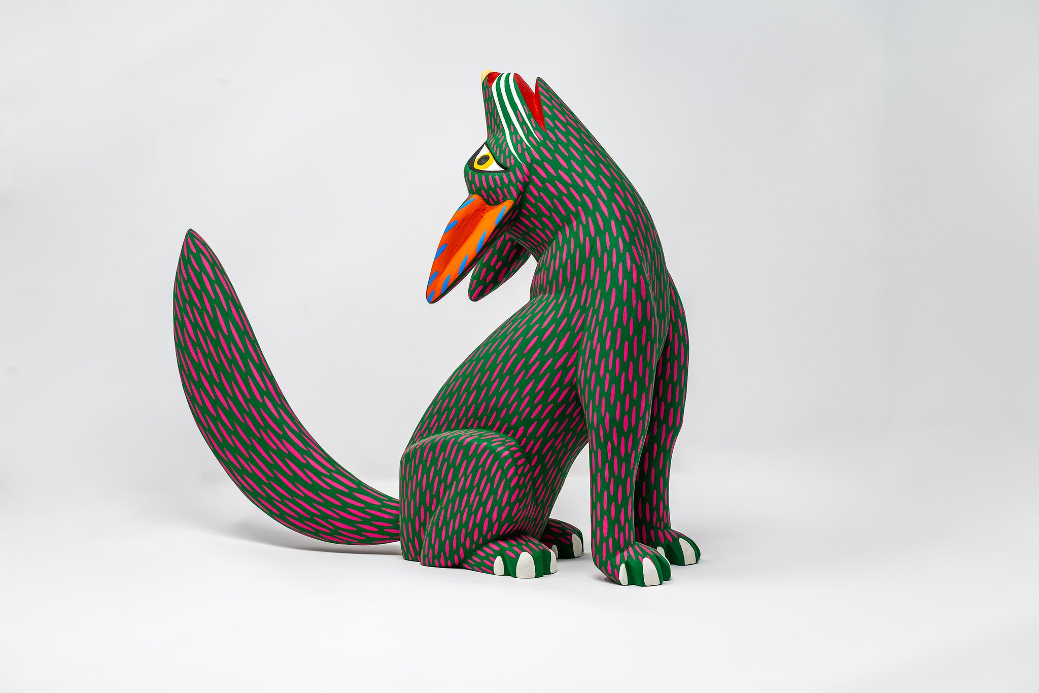 Coyote
