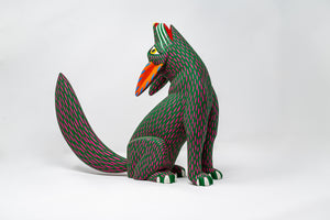 Coyote