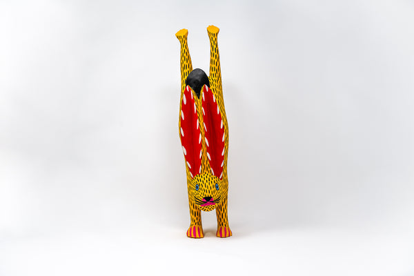 Conejo