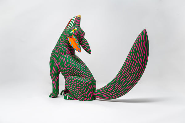 Coyote
