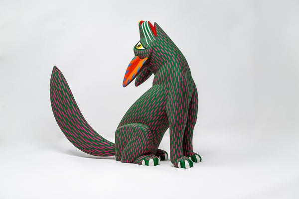 Coyote
