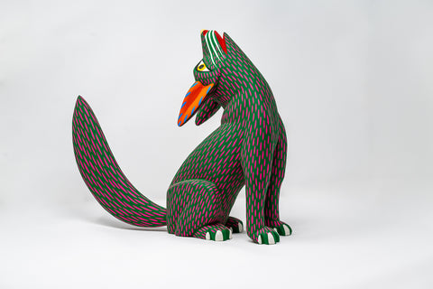 Coyote